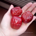 2017 Récolte Chinoise Séchée Xinjiang Hetian Date Rouge Jujube Doux